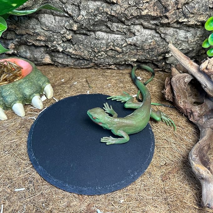 Reptile Basking Platform 6.0IN Turtle Rock Slate Plate Food Bowl Feeding Dish Tortoise Bathing Resting Terrace for Bearded Dragon Chameleon Gecko Snake Lizard Frog Newt