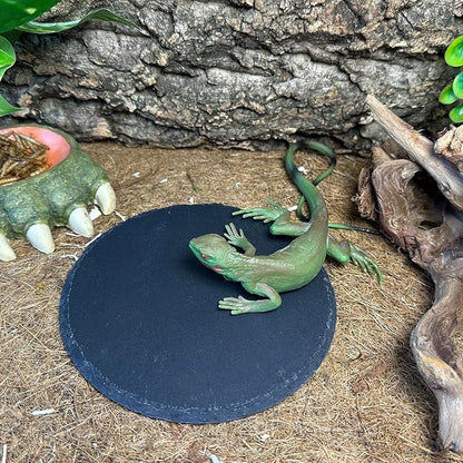 Reptile Basking Platform 6.0IN Turtle Rock Slate Plate Food Bowl Feeding Dish Tortoise Bathing Resting Terrace for Bearded Dragon Chameleon Gecko Snake Lizard Frog Newt