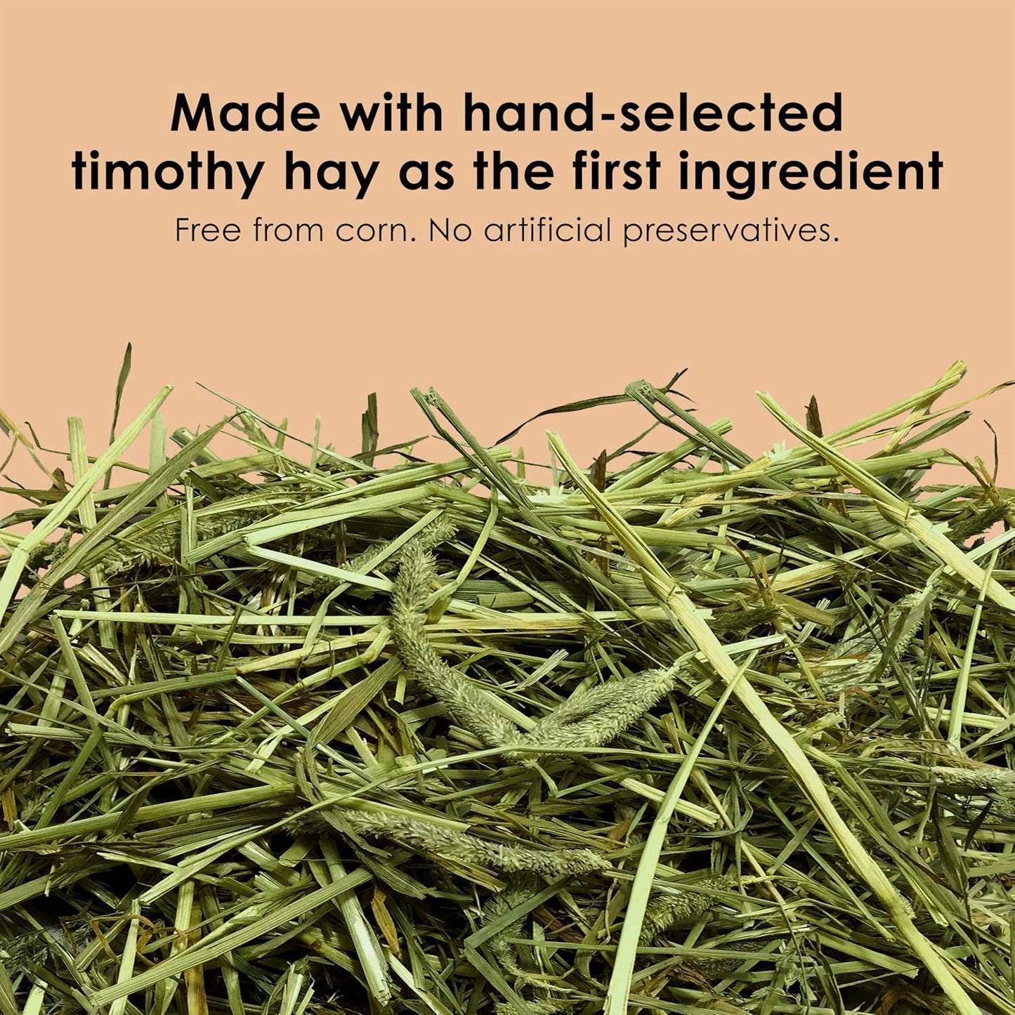 Kaytee Timothy Complete Guinea Pig Food Timothy Hay 25 Pounds