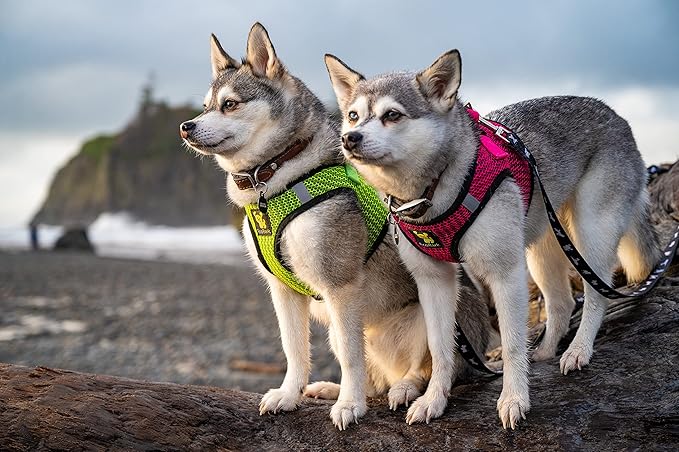 EcoBark Step in Dog Harness - Eco-Friendly Dog Harnesses for for Small & Medium Breed Dogs - Reflective and Adjustable Chest Body Halter Vest -Soft Luxurious Mesh (Fuchsia Pink, XL)