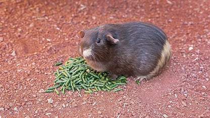 High Desert Alfalfa Hay Pellets for Guinea Pigs, Rabbits, and More Small Animal Pets (64oz Bag)