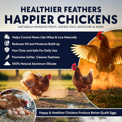 5.5lb Chickie-Whiz Chicken Dust Bath - Made in USA - All Natural Volcanic Ash Dust Bath for Chickens - Healthier Eggs & Feathers - Chicken Coop Accessories for Farms by Billy Buckskin Co.