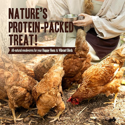 Dried Mealworms for Chickens, Birds, Hamster, Reptile and Turtle - Premium Non-GMO Treats with 55% Protein for Laying Hens - Organic Food for Wild Bird, Bluebirds, Robins, Cardinals. 5 Lb