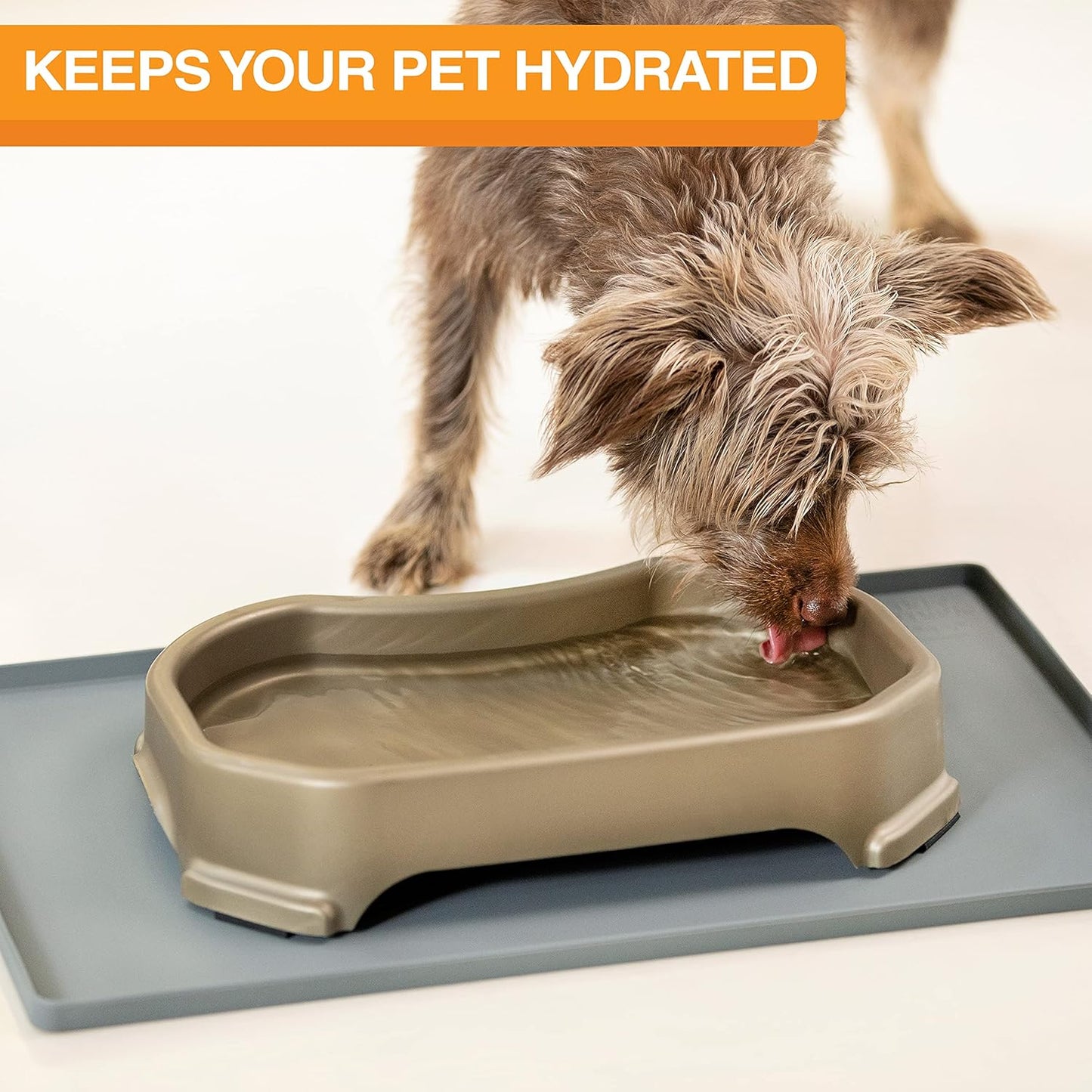 Neater Pet Brands Large Capacity Outdoor Dog Water Bowl for Small Dogs, Cats, Reptiles, Birds, & Small Animals, Outdoor Water Bowls for Dogs (8 Cups), Feed Bowl & Trough, Indoor or Outside, Champagne