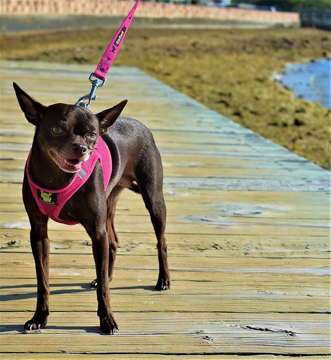 EcoBark Rapid Fastener Super Comfort Fully Adjustable Double Padded Step in Dog Harness (Medium, Pink)