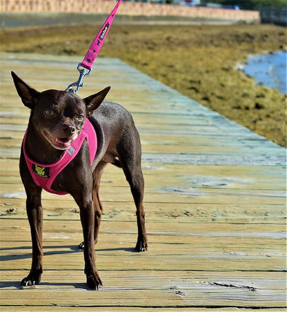 EcoBark Step in Dog Harness - Eco-Friendly Teacup Dog Harnesses for XXS, XS, and Small Dogs - Reflective and Adjustable Mini Body Halter Vest -Tiny Soft Mesh Toy Breed Harness Under 5 lbs (Pink, XXS)