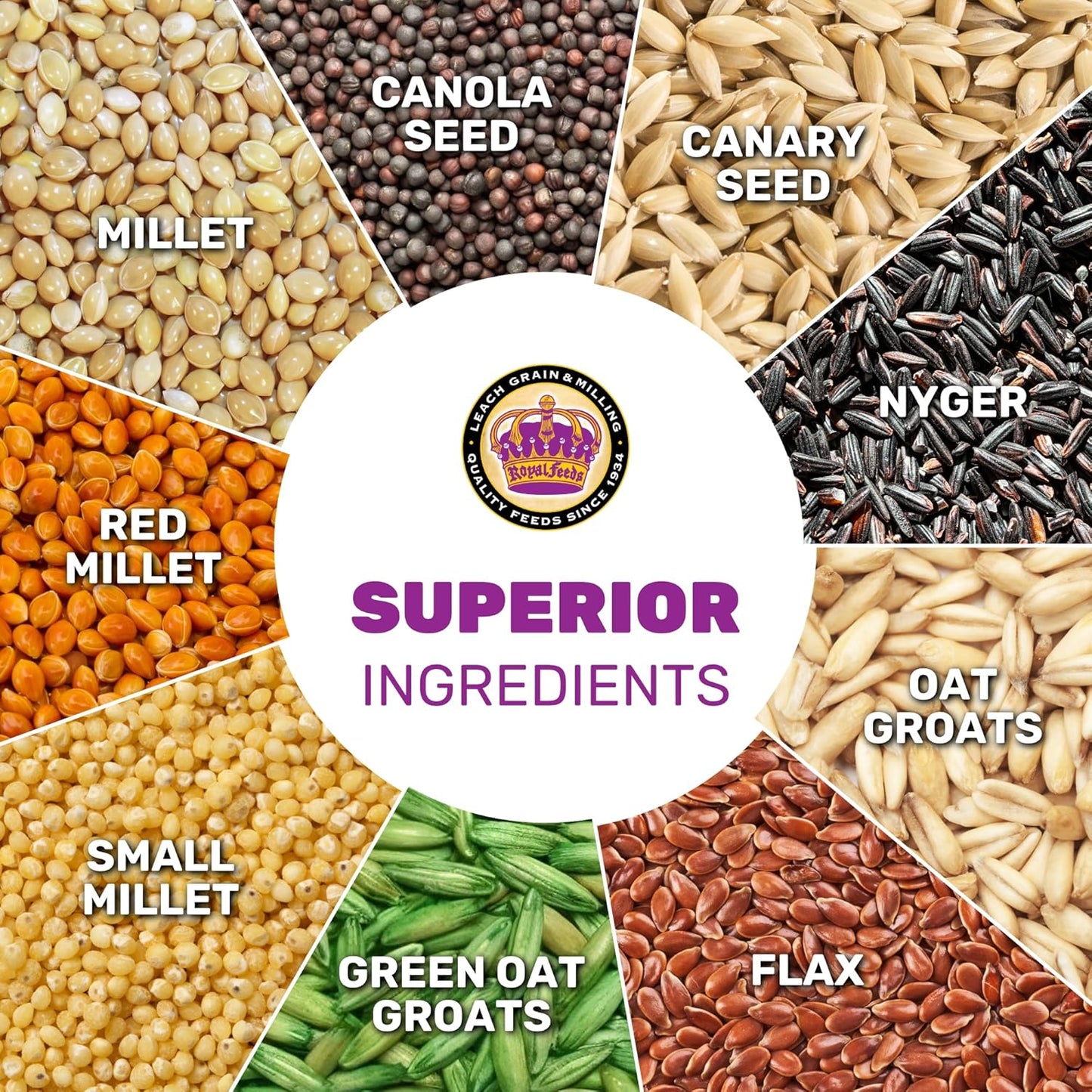 JEDDS Fine Avian & Pet Products Finch Plus 5 Lbs, Nut Free, No Waste Bird Seed Mix, Birdseed for Finches and Small Birds, Premium Finch Food, Bird Food, Bird Feed for Energy, Growth and Digestion