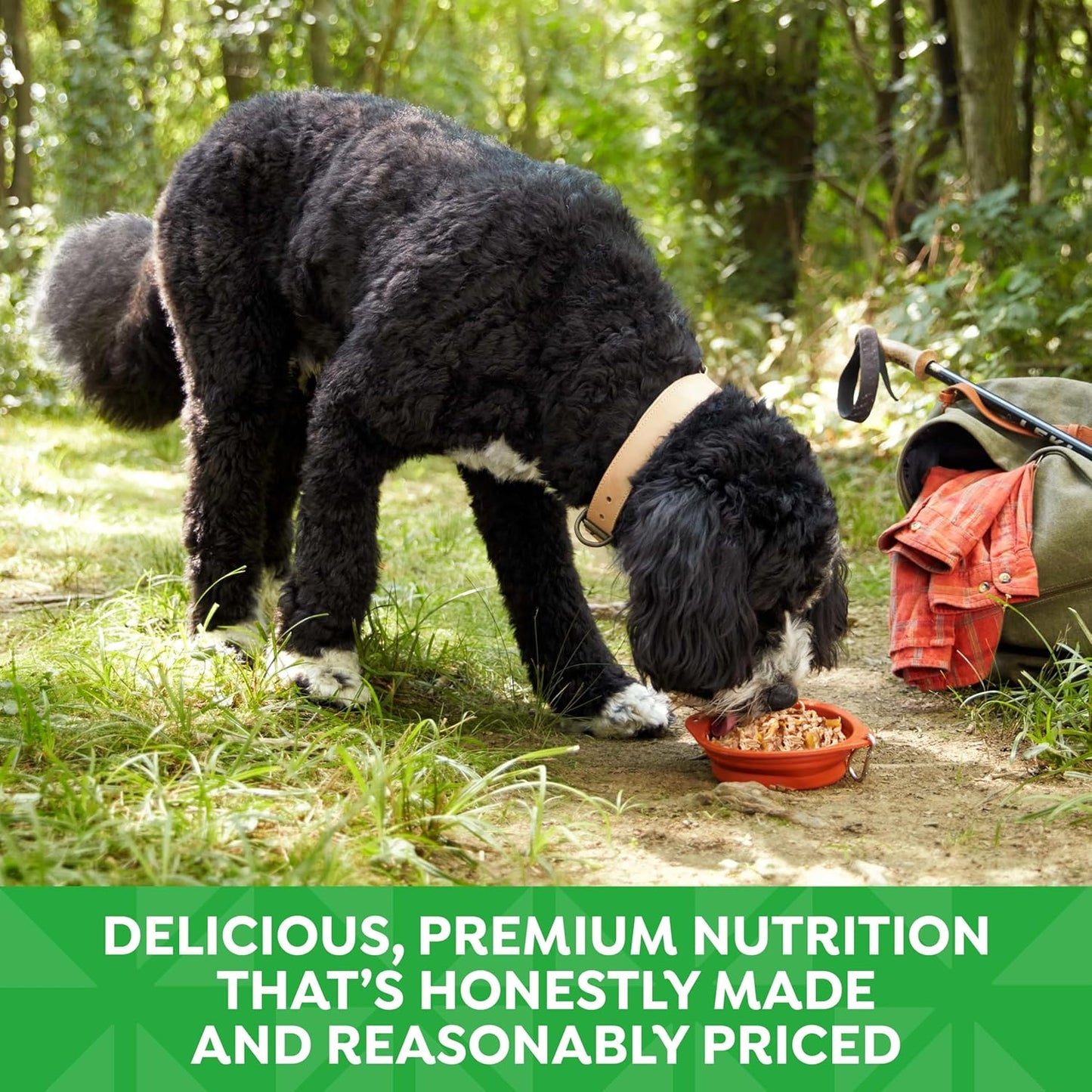 Nature's Recipe Grain Free Wet Dog Food, Chicken & Duck Recipe, 2.75 Ounce Cup (Pack of 12)