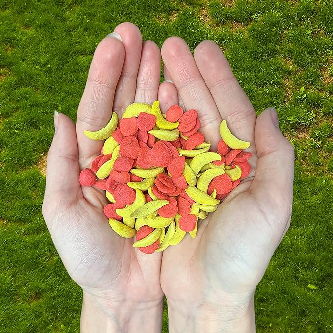 Crunchez Apple and Banana - Crunchy Fruit Flavored Treat Bites - Sugar Gliders, Squirrels, Marmosets, Prairie Dogs, Hamsters, Chinchillas, Exotic Birds, Rabbits, Guinea Pigs, Degus, Small Pets