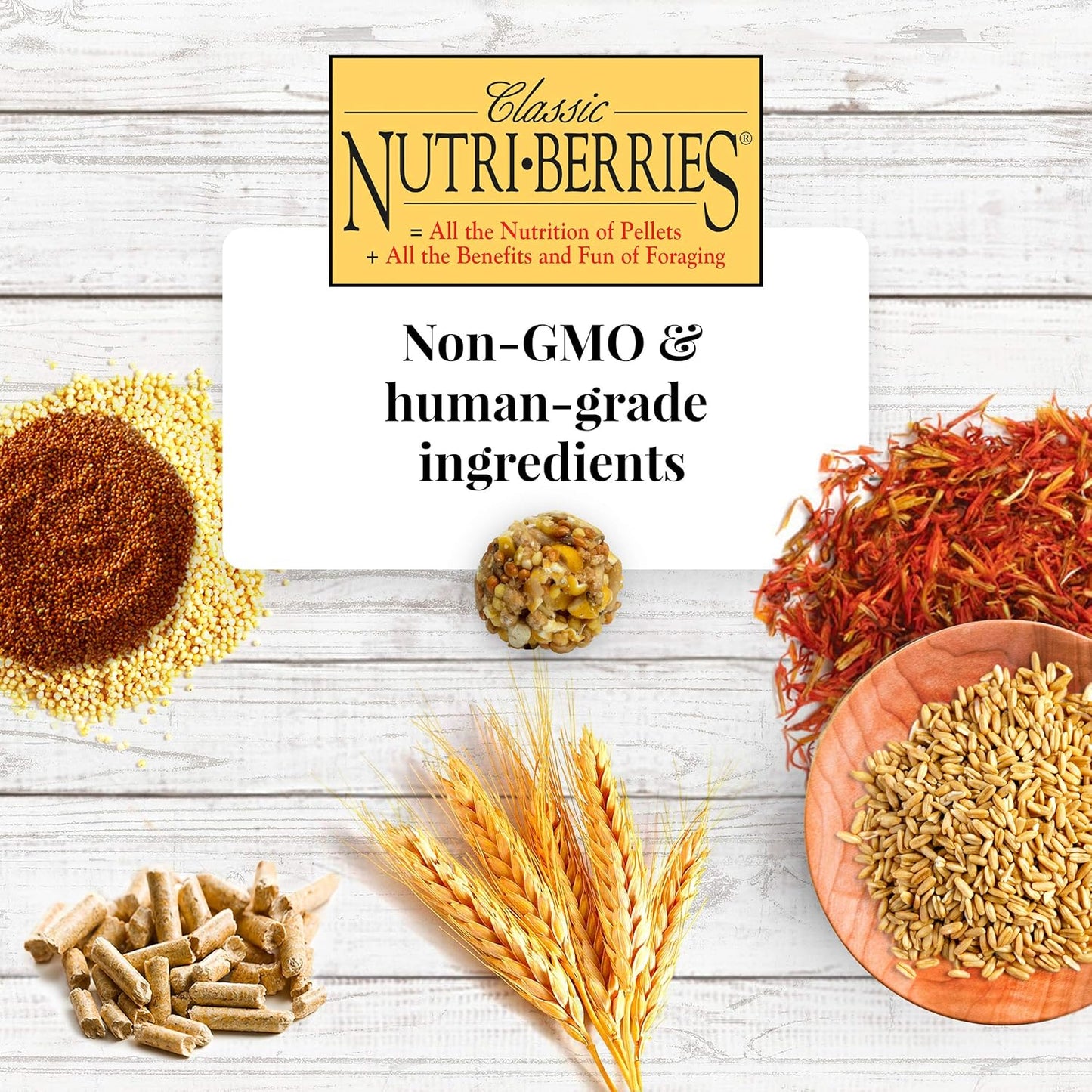 LAFEBER'S Classic Nutri-Berries Pet Bird Food, Made with Non-GMO and Human-Grade Ingredients, for Macaws and Cockatoos, 10 oz