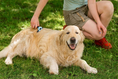 Pets First Professional Pet Brush - Grooming & Deshedding Tool for Cats & Dogs - Reduces Shedding, Dead Hair, Tangles - Detachable Stainless Steel Comb for Easy Cleaning - Soft Anti-Slip Handle,Blue