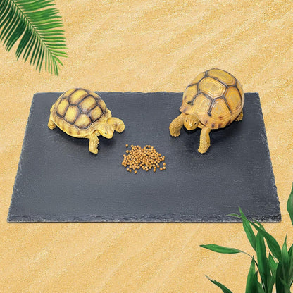 Tortoise Habitat basking Rock Feeding Dish Bearded Dragon/Lizard Original Rock Slab,Easy to Grind The Nails,with Non-Slip mats,Natural Food Bowl,Moisturizing Effect(Large- Size)