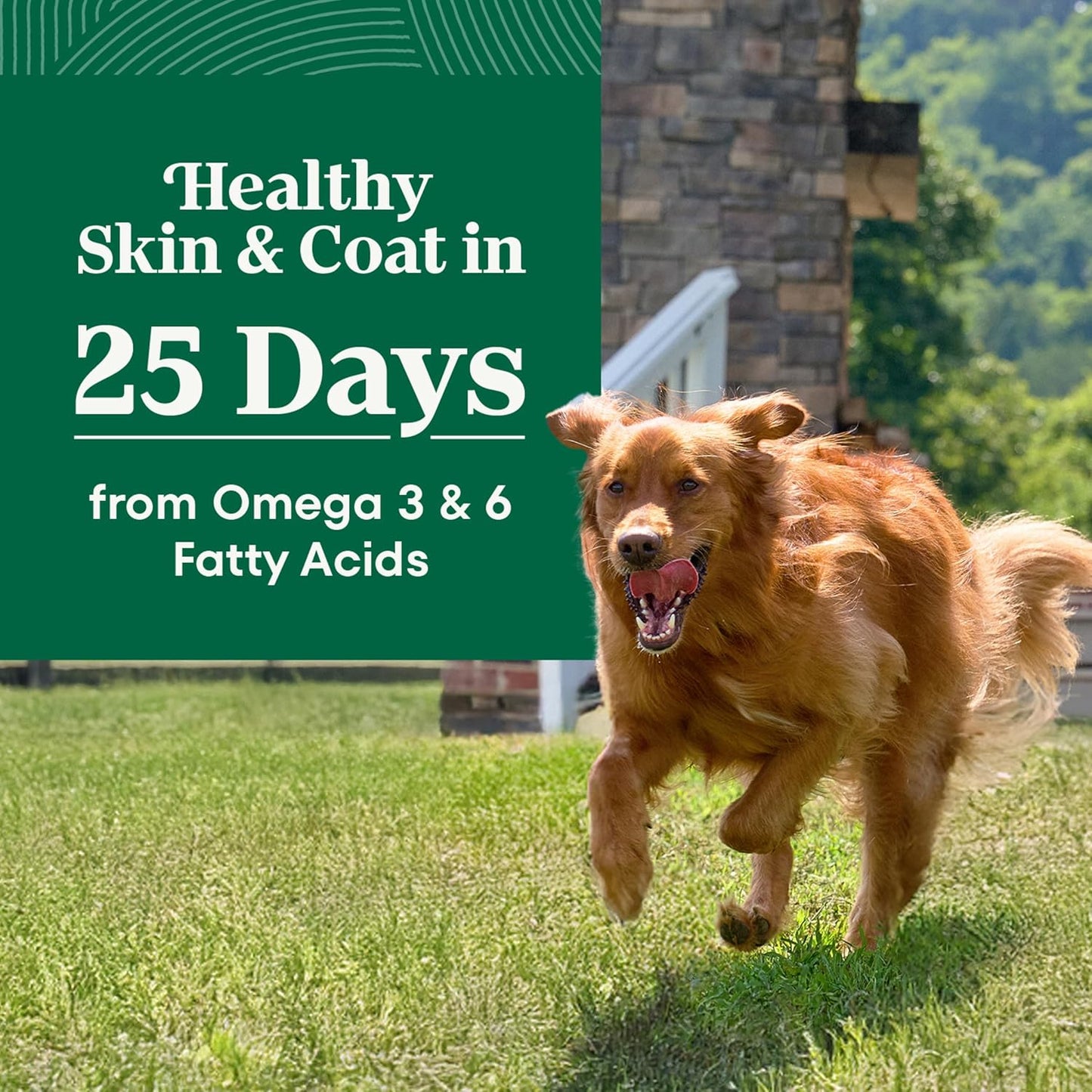 Nutro Natural Choice Lamb & Brown Rice Adult Large Breed Dog Food Dry Recipe, 36 lb. Bag