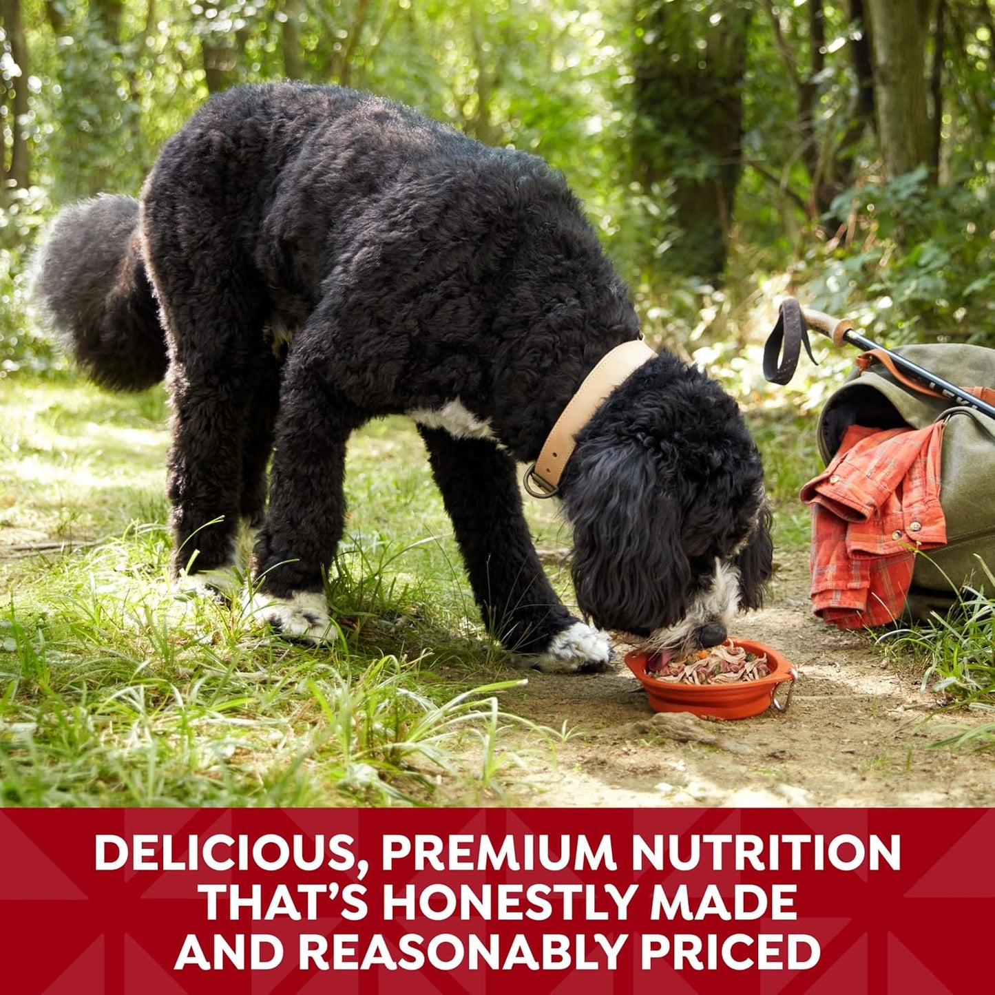 Nature's Recipe Grain Free Chicken & Beef Recipe in Savory Broth Wet Dog Food, 2.75 oz. Cup, 12 Count