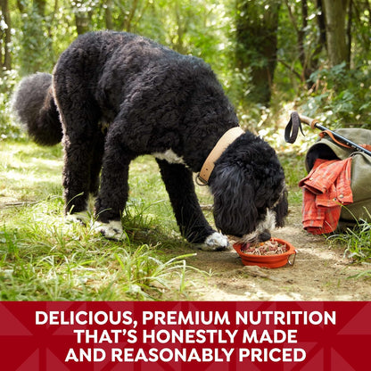 Nature's Recipe Grain Free Chicken & Beef Recipe in Savory Broth Wet Dog Food, 2.75 oz. Cup, 12 Count