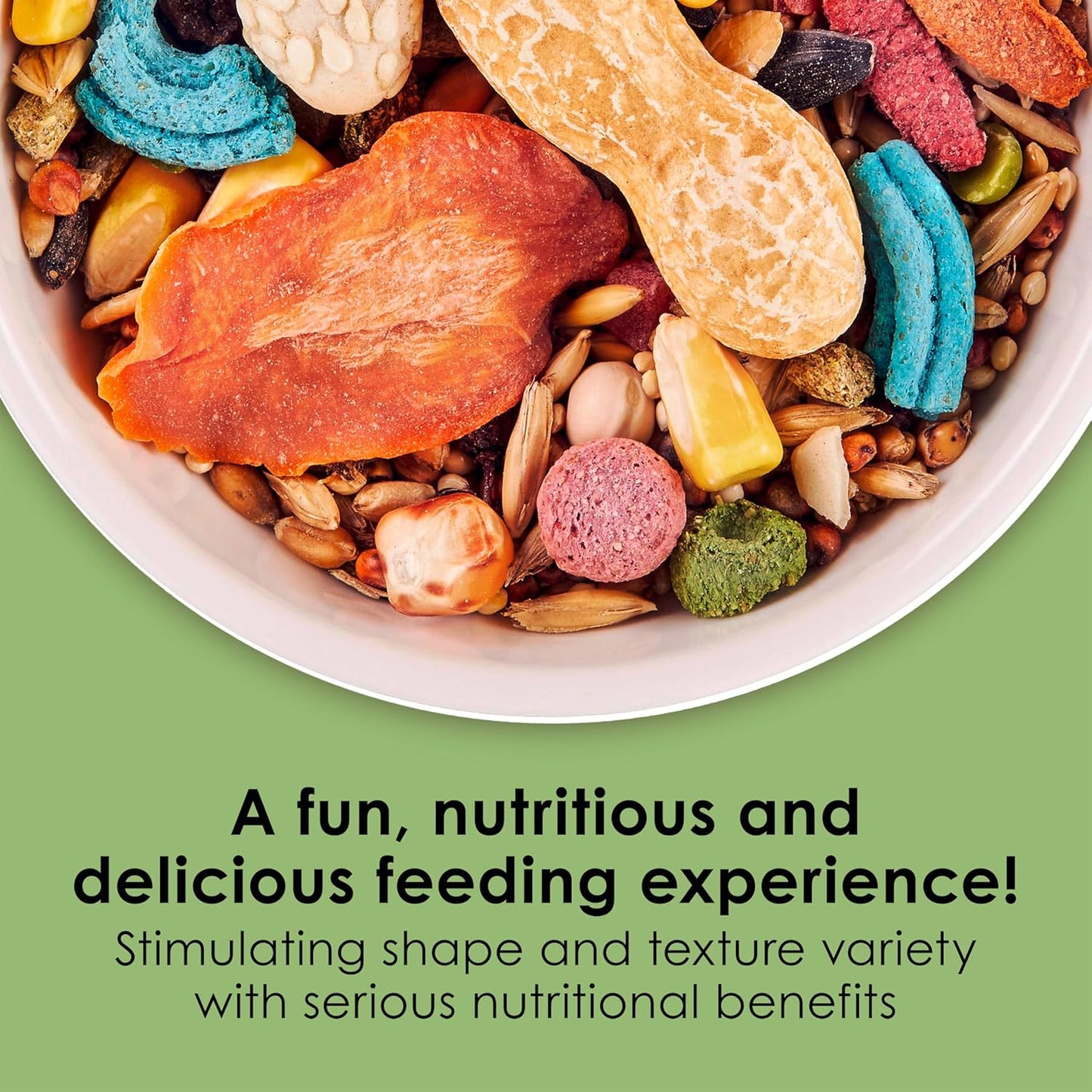 Kaytee Fiesta Mouse & Rat Food, Nutritious and Fun Blend, Supports Dental Health and Digestion, 4.5 pounds