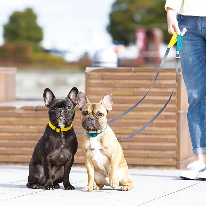 Wildebeest Funston Waterproof Dog Leash - Heavy Duty 4ft Long Leash for Small, Medium and Large Dogs - 1000D Nylon Scratch & Stink-Resistant & Pill-Free - Nylon Wrap Handle 3/4" Wide, 4 ft Length