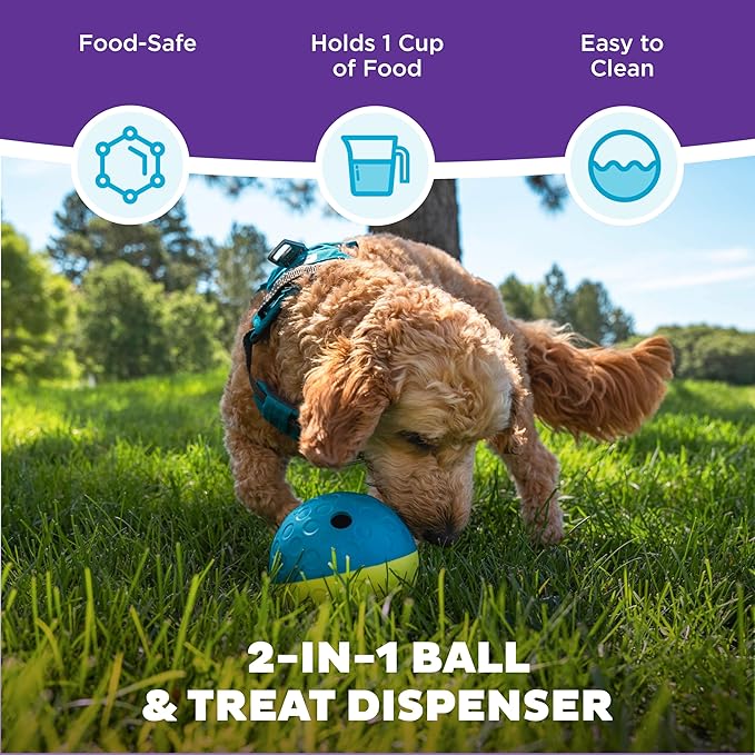 Outward Hound by Nina Ottosson Treat Tumble Interactive Puzzle Ball Dog Toy, Level 1 Beginner, Blue, Small (4.75" Diameter)