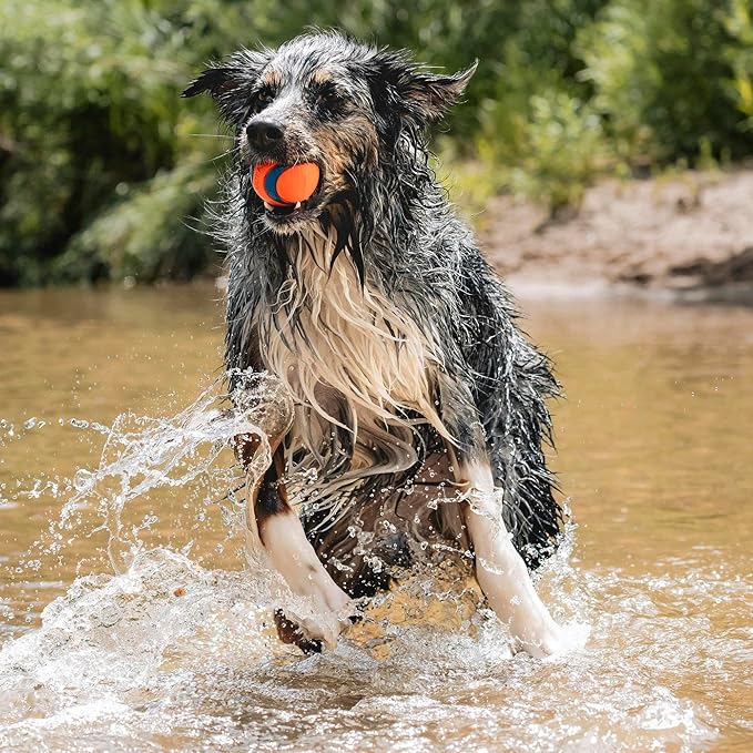 Chuckit! Ultra Ball Dog Toy - Size Large - For Dogs 60-100 lbs - Made from Durable Rubber - Super Bouncy - Floats in Water - 3-inch Diameter - Pack of 1