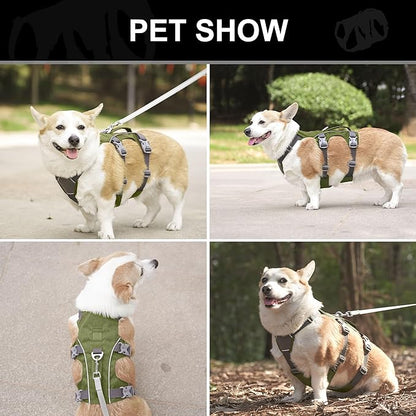 Escape Proof Dog Harness Small Sized Dog, Reflective No Pull Dog Vest with Handle, Lightweight Full Body Pet Harness Adjustable for Walking,Training(Blue,Chest:16-27")