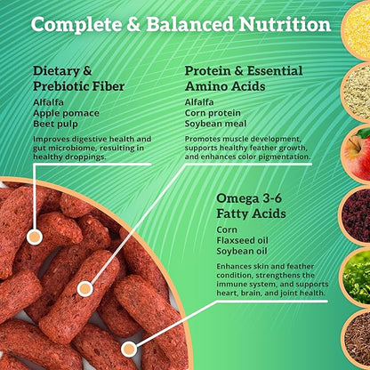 Scenic Apple Jungle Premium Parrot Food, Apple, Natural Flavors, High Protein, Low Iron Bird Pellets for Large Parrots, Macaw Food, Cockatoo, African Grey Parrots, Omega 3, Vitamins, 2lb (Pack of 2)