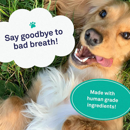 Petpost Dental Wipes for Dogs | 100 Count Presoaked Pads in Natural Tooth Cleaning Solution | Bad Breath and Tooth Buildup Remover