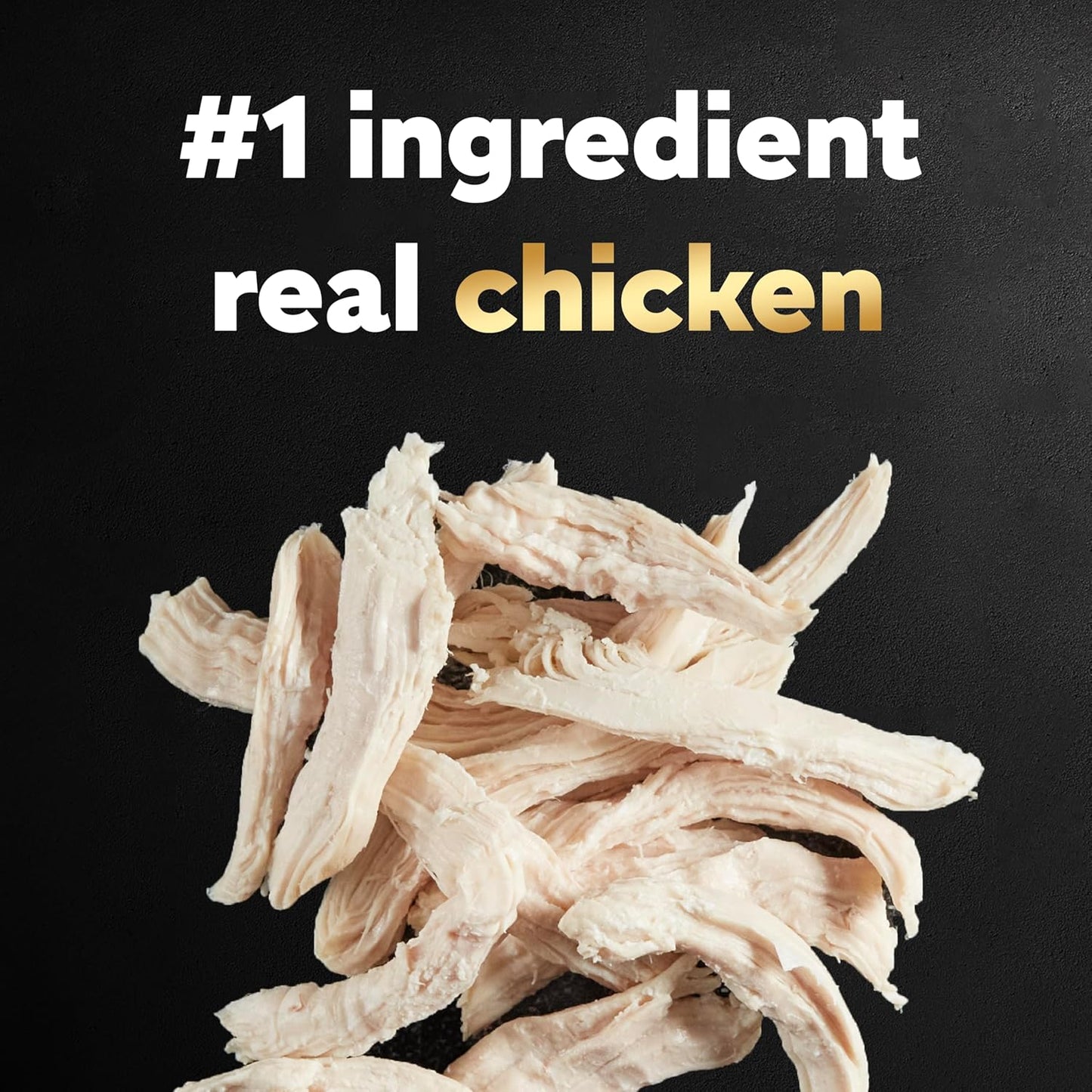 Cesar Warm Bowls Wet Dog Food Roasted Chicken Entrée, 2.7 oz. Trays (10 Count, Pack of 1)