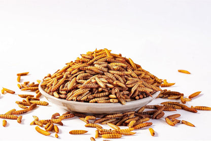 I LOVE WORMS Dried Black Soldier Fly Larvae (5lb), 100% Natural Non-GMO, Treat for Chickens, More Calcium Chicken Feed Than Mealworms