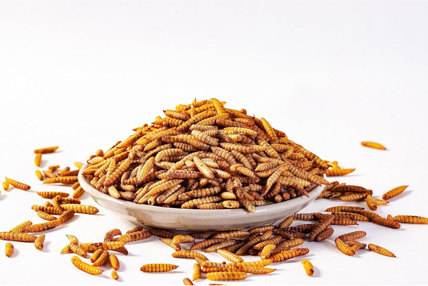 I LOVE WORMS Dried Black Soldier Fly Larvae (10lb), 100% Natural Non-GMO, Treat for Chickens, More Calcium Chicken Feed Than Mealworms