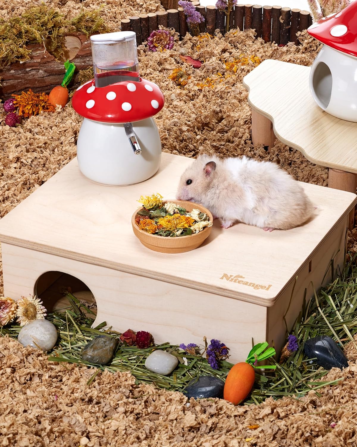 Niteangel Hamster Snack & Treats Toy: - Small Animal Natural Treat Mix for Dwarf Syrian Robo Hamsters Gerbils Mice Lemmings Degus or Other Small-Sized Pets (Vegetable Combo)