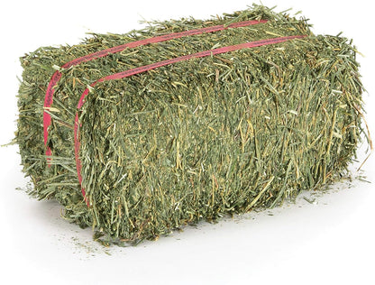 Grandpa's Best Alfalfa Hay, 40 oz