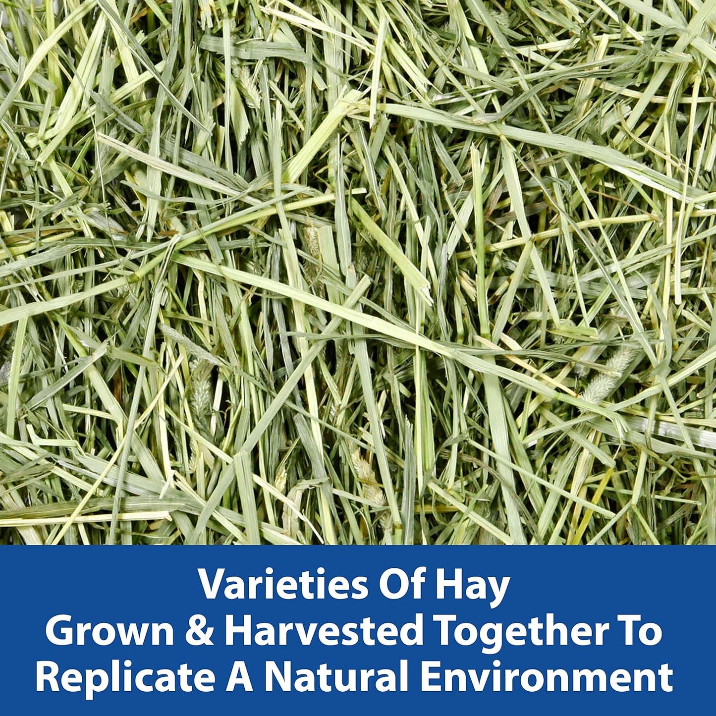 Kaytee All Natural Timothy Hay Wild Meadow Hay Blend for Guinea Pigs, Rabbits & Other Small Animals, 24 Ounce (Pack of 2)