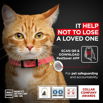 Leather Cat Collar with Bell and Safety Elastic Strap Breakaway Alternative for Small & Large Kittens, Stylish Pet Leather Collar for Boy, Girl Cats with Metal Buckle & QR ID Tag (Red)