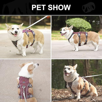 Escape Proof Dog Harness with Handle - Reflective No Pull Dog Vest, Lightweight Full Body Pet Harness Adjustable for Small Dogs Walking,Training(Blue,Chest:14-22")