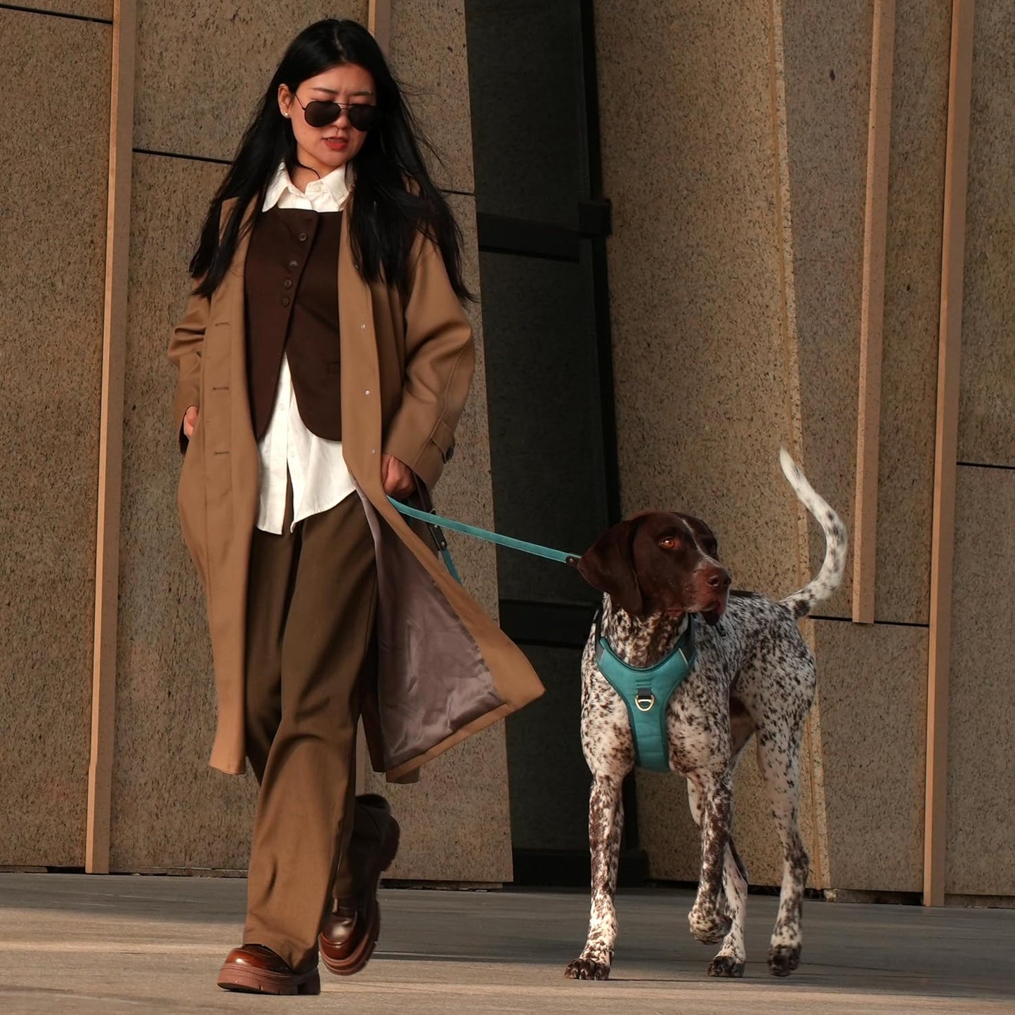 No Pull Dog Harness Medium Sized Dog,Stylish PU Leather Vest with Easy Control Handle,No Choke Front Clip with 2 Metal Leash Clips,Reflective & Adjustable for Walking,Light Blue,Chest 27-33"