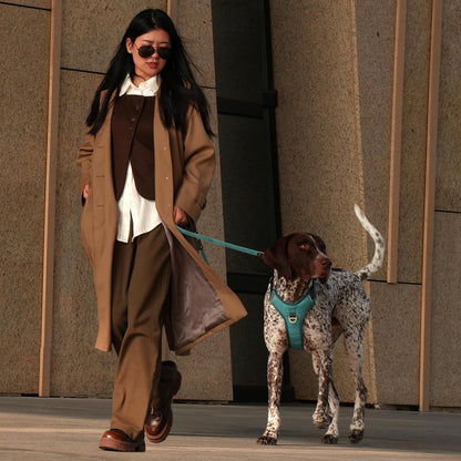 No Pull Dog Harness Medium Sized Dog,Stylish PU Leather Vest with Easy Control Handle,No Choke Front Clip with 2 Metal Leash Clips,Reflective & Adjustable for Walking,Light Blue,Chest 27-33"