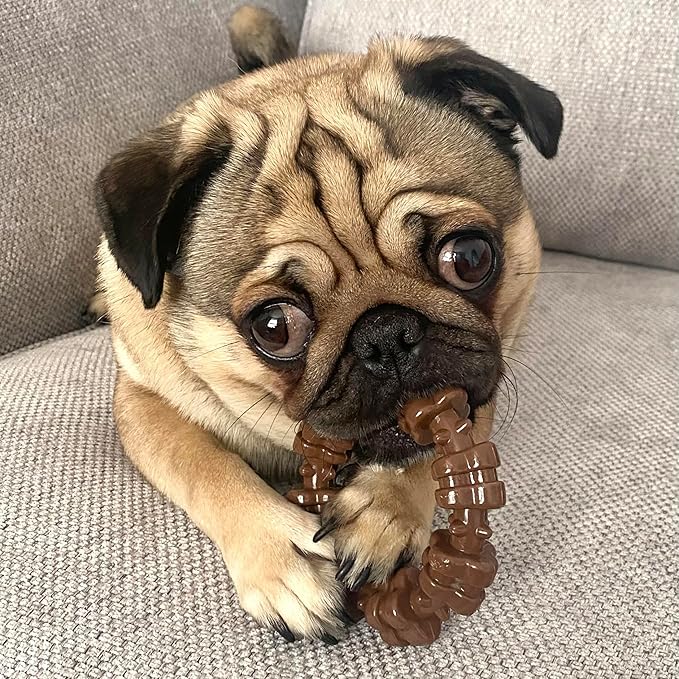 Nylabone Textured Ring Power Chew Toy for Small Dogs, Durable Dog Toys for Aggressive Chewers, Strong Dog Chew Bones To Keep Them Busy, Flavor Medley, Small - Up to 25 lbs, 1 Count