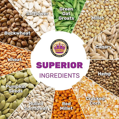 Small Hookbill Plus 5 Lbs, Bird Food for Small Hookbill, Premium Bird Seeds, Supports Growth Energy and Digestive Health, Nutrient-Rich Parrot Birdseeds with Vitamins & Minerals, Healthy Balanced Diet