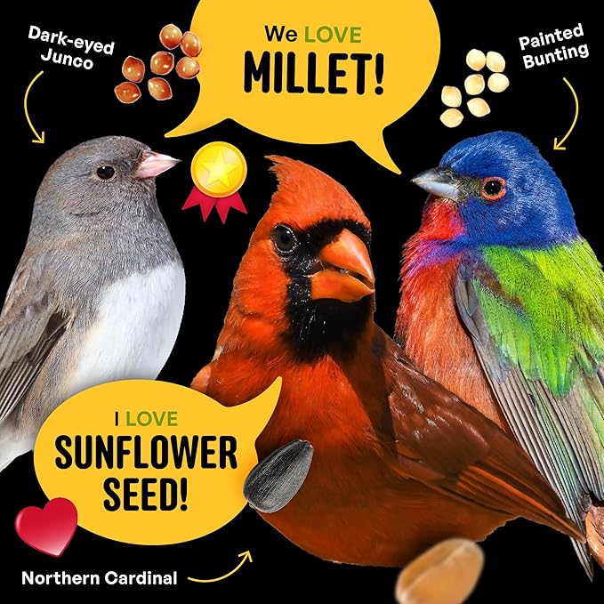 All Birds Wild Bird Seed – 10 lb. Classic Blend with Black Oil Sunflower, White Millet, Safflower, Peanuts & Sunflower Hearts – Balanced Bird Food for Outside Feeders