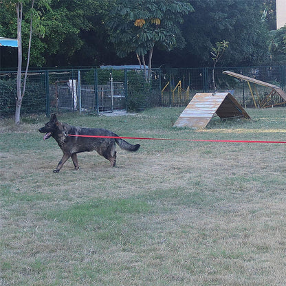 Dog/Puppy Obedience Recall Training Agility Lead -15ft 20ft 30ft 40ft 50ft Training Leash - Great for Play, Camping, or Backyard - Rainbow 15ft