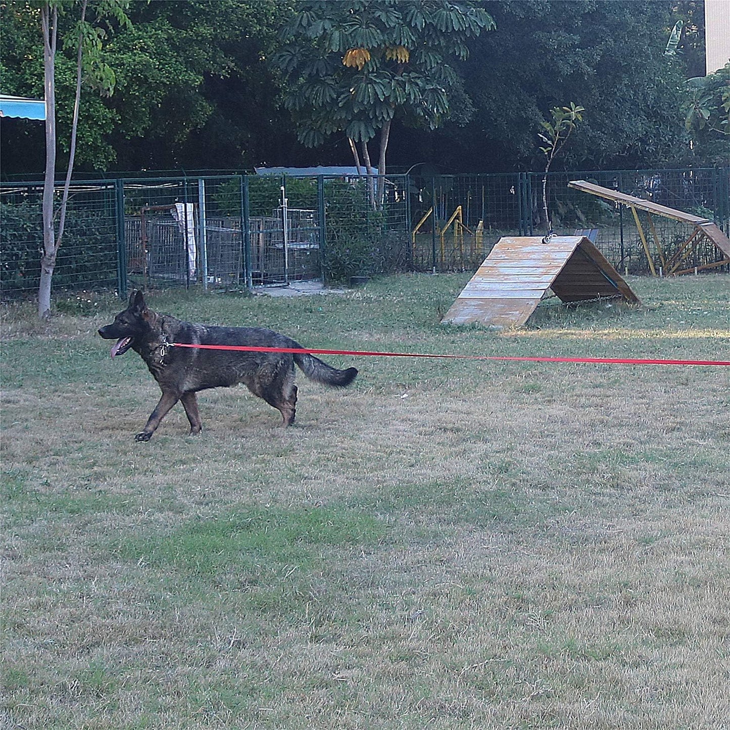 Dog/Puppy Obedience Recall Training Agility Lead - 15ft 20ft 30ft 40ft 50ft Training Leash - Great for Play, Camping, or Backyard (Rainbow, 20 Feet)