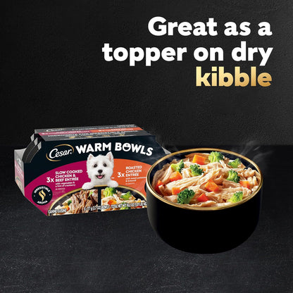 Cesar Warm Bowls Wet Dog Food Variety Pack: Chicken & Beef; and Chicken Entrées, 2.7 oz Trays (6 Count, Pack of 1)