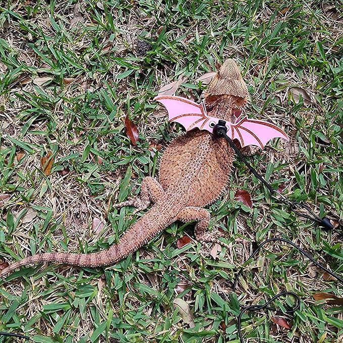 ADOGGYGO Bearded Dragon Leash Harness, 3 Size Pack Pink Lizard Wing Harness with Removable Leash for Bearded Dragon Lizard Reptiles