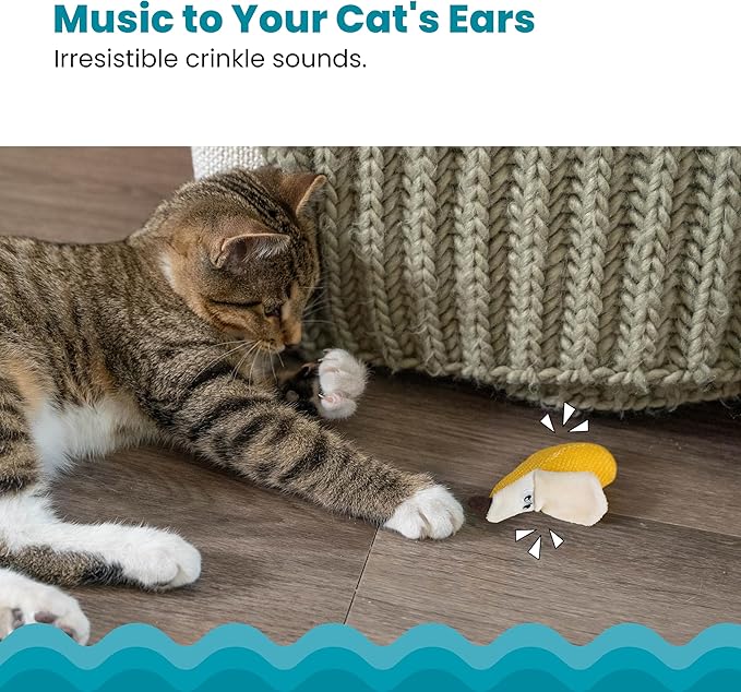 Catstages Petstages Dental Banana Catnip Cat Chew Toy