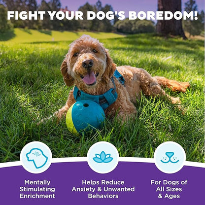 Outward Hound by Nina Ottosson Treat Tumble Interactive Puzzle Ball Dog Toy, Level 1 Beginner, Blue, Small (4.75" Diameter)