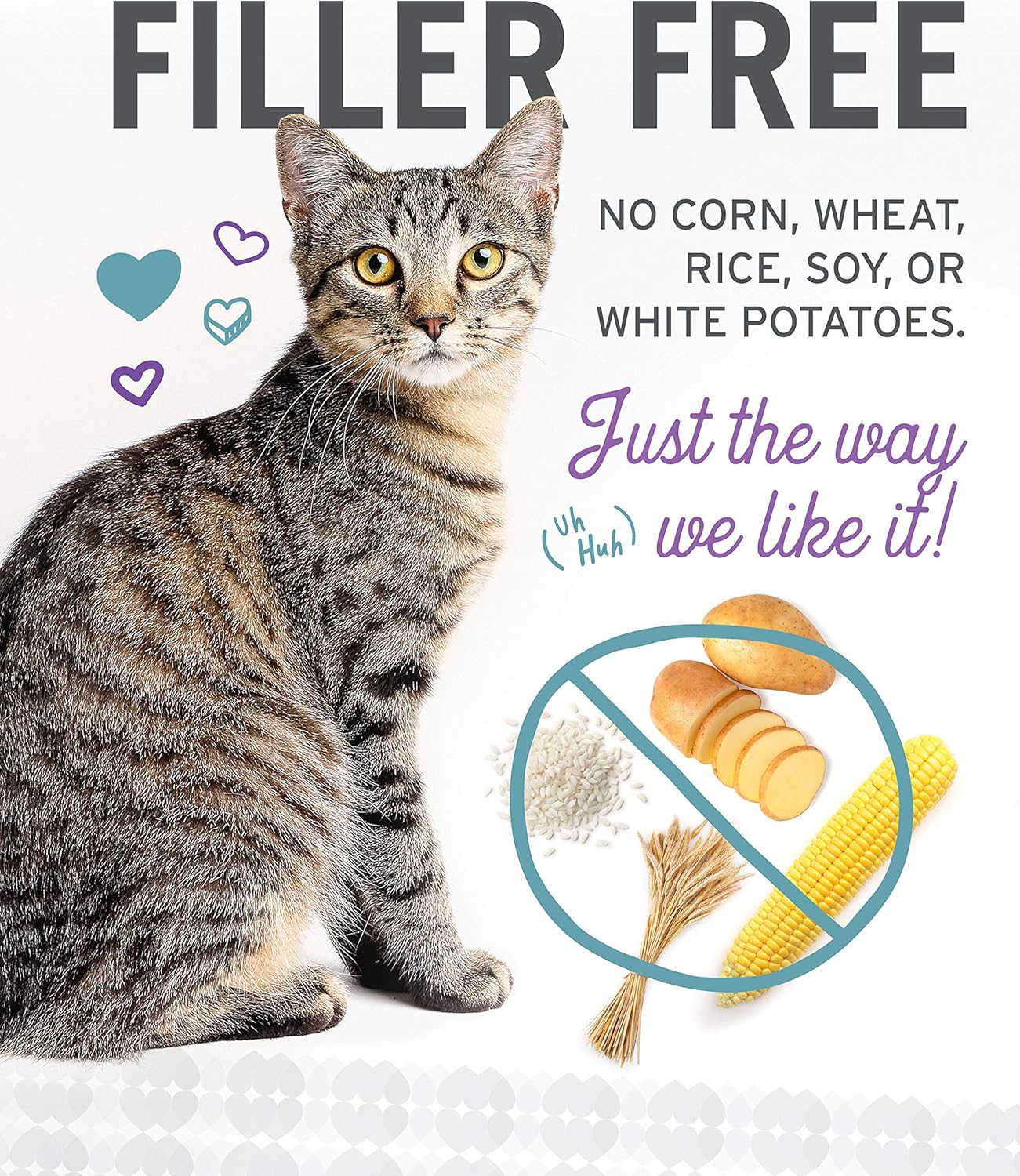 I and love and you Wet Cat Food - Ninja Cat Jiu Jit Stew Variety Pack - Chicken, Salmon, Tuna, Grain Free, Filler Free, 3oz Pack of 12 Cans