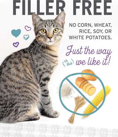 I and love and you Wet Cat Food - Ninja Cat Jiu Jit Stew Variety Pack - Chicken, Salmon, Tuna, Grain Free, Filler Free, 3oz Pack of 12 Cans