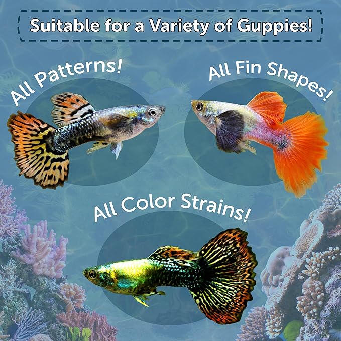 Aquatic Foods Inc. Premium Guppy and Endler Flake Food Also for Tetras, Zebras, All Nano and Micro Fish Also Pellet Mix, Wafer Mix Included…1-lb 2oz