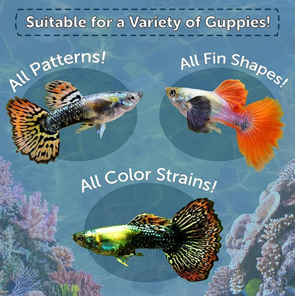 Aquatic Foods Inc. Premium Guppy and Endler Flake Food Also for Tetras, Zebras, All Nano and Micro Fish Also Pellet Mix, Wafer Mix Included…1-lb 2oz