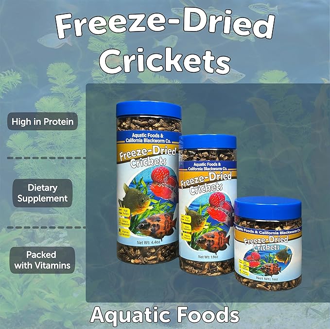 Aquatic Foods Inc. Crickets, Freeze Dried Crickets for Large Tropical Fish, Monster Fish, Reptiles, Turtles, Tortoises, Frogs, Hamsters, Birds, Rodents 1.0oz Canister